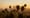 Peaceful, and Violent, Protests in Los Angeles