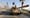 Learning from History: Why We Should Re-Think Military Involvement in Middle East