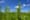 47 U.S. Representatives Co-Sponsor Bipartisan Industrial Hemp Farming Act