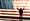 IVN Readers Pick The Most Independent Politicians of 2017
