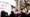Women’s March: What’s That Word? Intersectionalism?