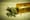 Marijuana May Be Legitimate Treatment for Alzheimer's Disease, Report Says